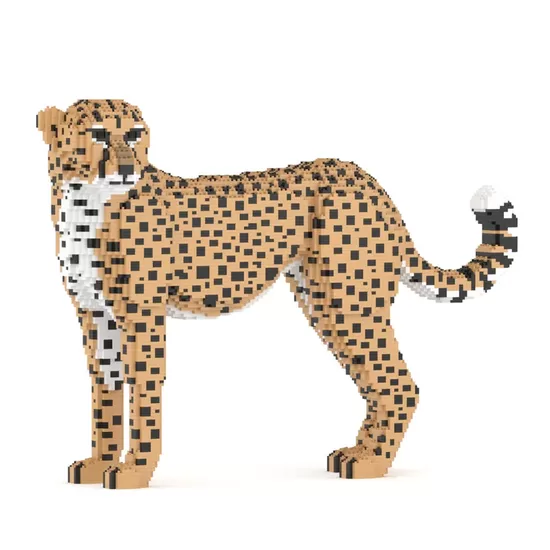 Gepard 01